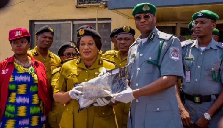 Customs, NDLEA frustrate attempt to smuggle N16.6bn worth of Cannabis into Nigeria