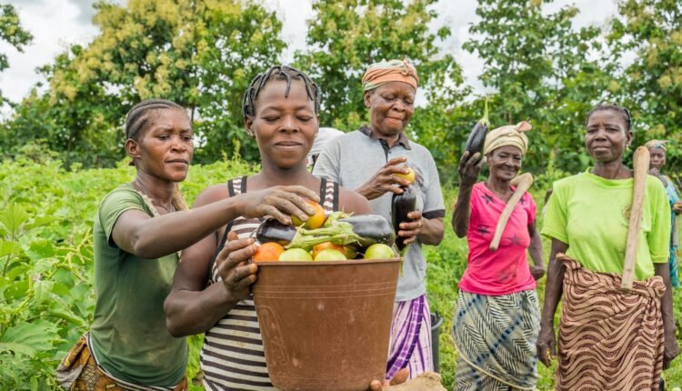 GIZ backs gender equality for sustainable agrifood devt.