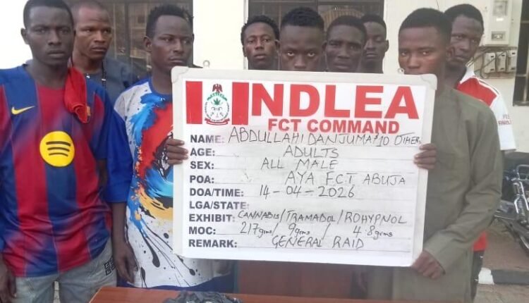 NDLEA Operation Cripples Abuja Drug Networks; 132 Suspects Apprehended