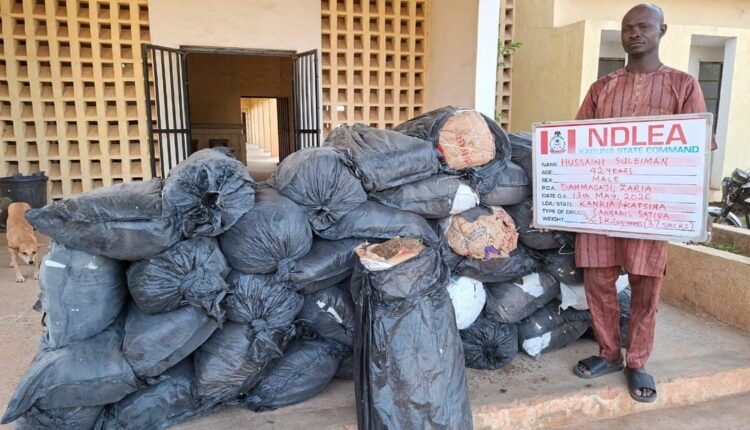 NDLEA intercepts UK, Australia-bound cocaine, opioid consignments in carton walls