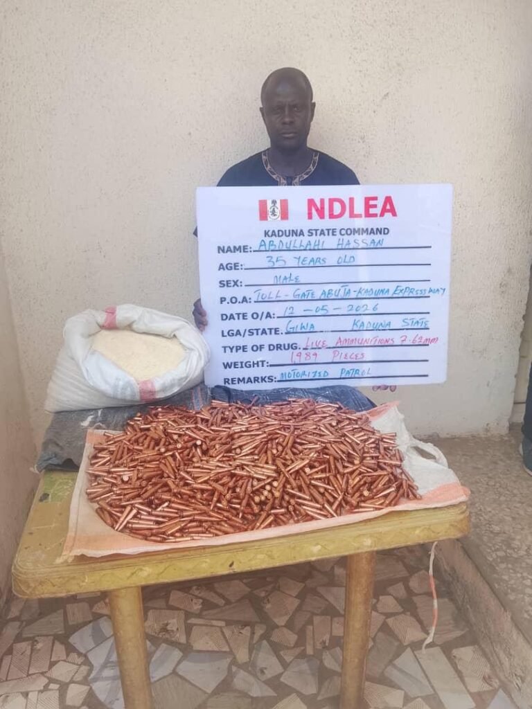 NDLEA intercepts UK, Australia-bound cocaine, opioid consignments in carton walls