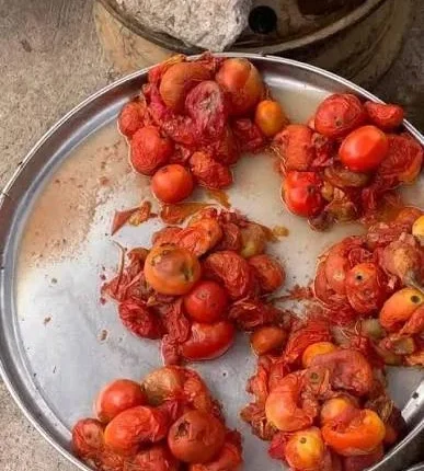 Lagos residents shun rotten tomatoes over health fears
