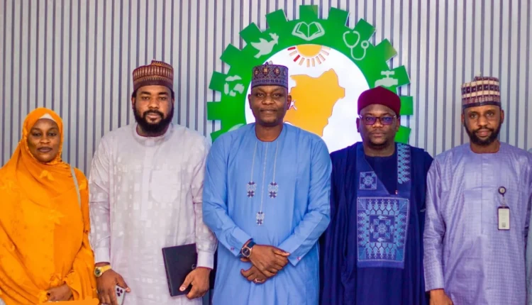 NEDC, groups to tackle desertification issues in Yobe