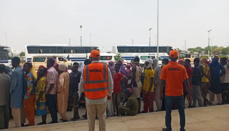 NEMA repatriates 497 Nigerian migrants from Niger Republic