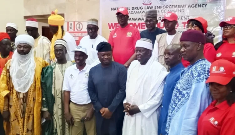 Drug abuse: NDLEA nabs 583 suspects, convict 270 in Adamawa