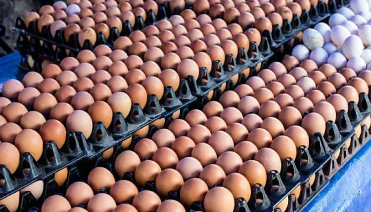Farmers seek action on egg glut