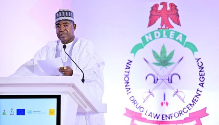 Nigeria remains committed to curbing drug scourge through innovative interventions President Tinubu