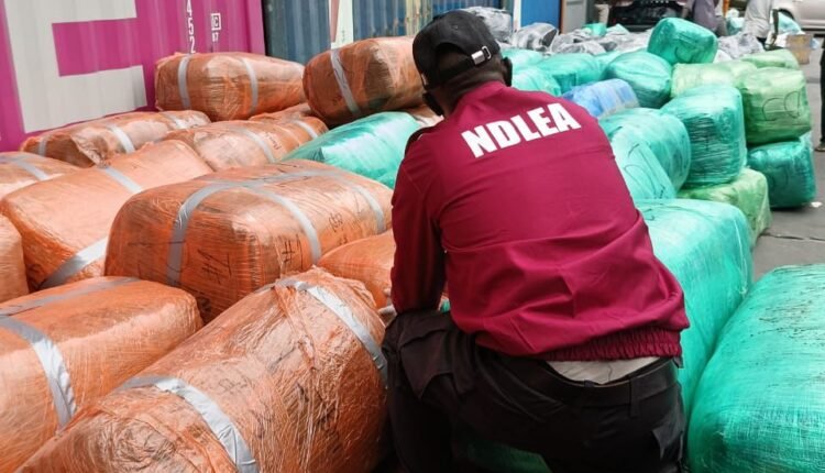 Framed at the Park: How NDLEA Exposed a Syndicate Planting Drugs in Passengers’ Luggage