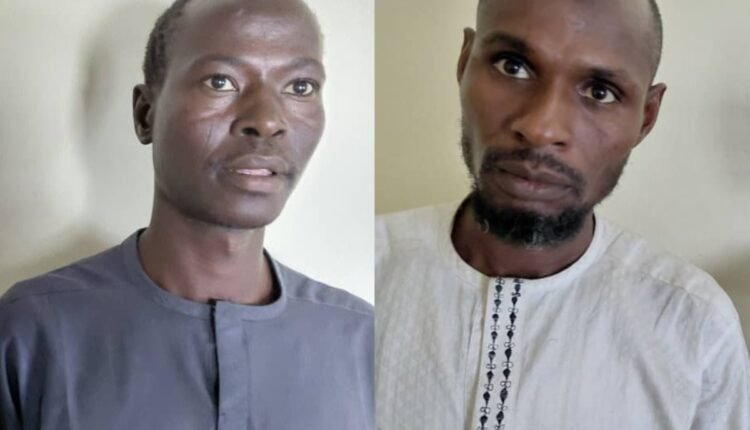 ISWAP commanders, IEDs specialist surrender to troops in Yobe