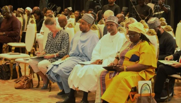 Minister links de-risking tools to advancing Nigeria’s climate efforts