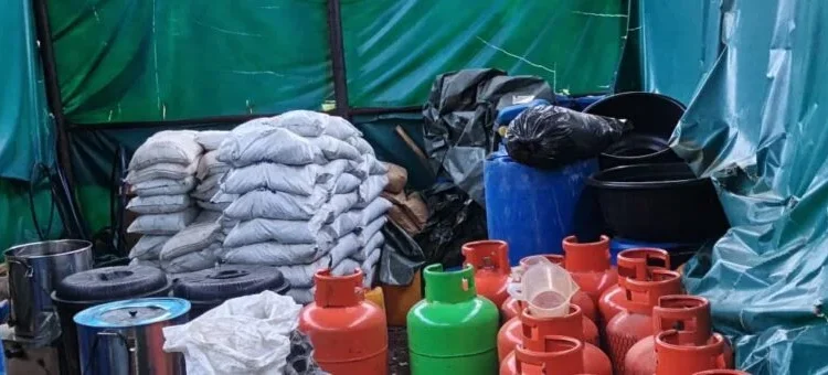 NDLEA busts meth lab in Oyo forest, arrests Mexican, 4 others