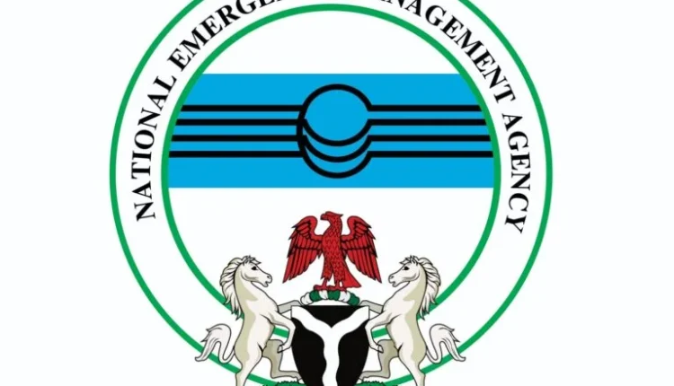 NEMA activates reception arrangements for Nigerian returnees from S/Africa