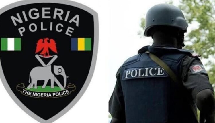Police step up vigilance against thuggery in Yobe