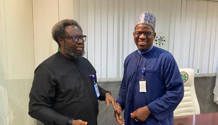 Africa’s prosperity depends on value addition to raw materials — RMRDC