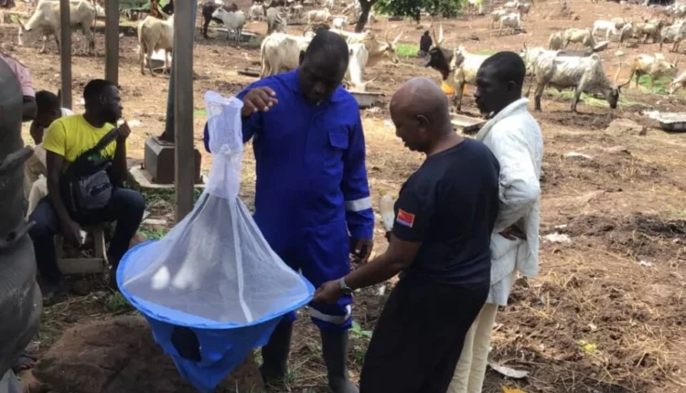 FMLD demands additional vet clinics in Abia, warns against diseased meat consumption