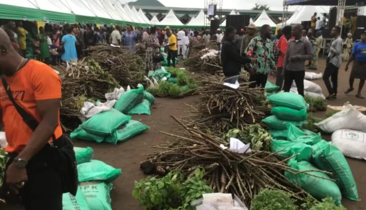 Food Security: Abia Govt. to support only registered farmers in the state