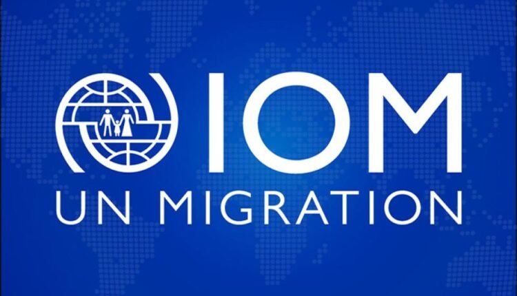 Forced online scams: IOM warns trafficking networks are booming