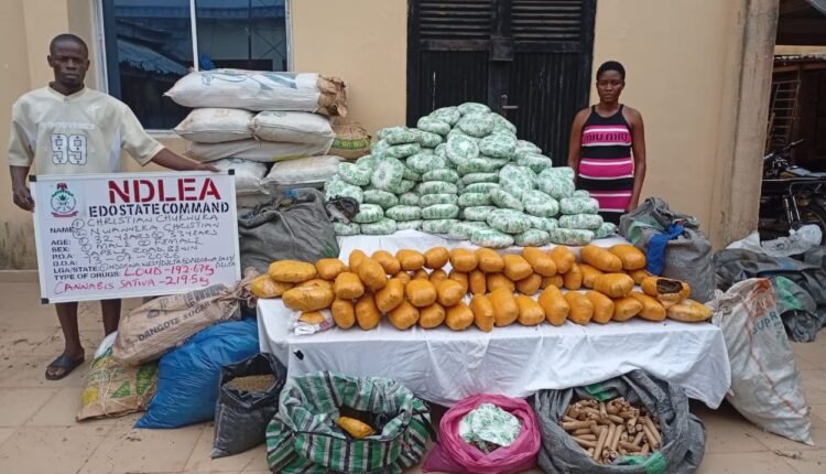 NDLEA Intercepts 1.6 Million Kano-Bound Tramadol Pills in Lagos; Arrests 80-Year-Old Grandpa and Transnational Syndicate Members