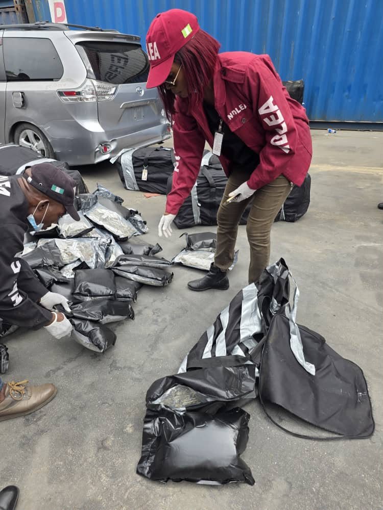 N10 billion Cocaine, Loud, opioids intercepted at Lagos ports as NDLEA arrests kingpins