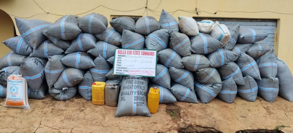 N10 billion Cocaine, Loud, opioids intercepted at Lagos ports as NDLEA arrests kingpins