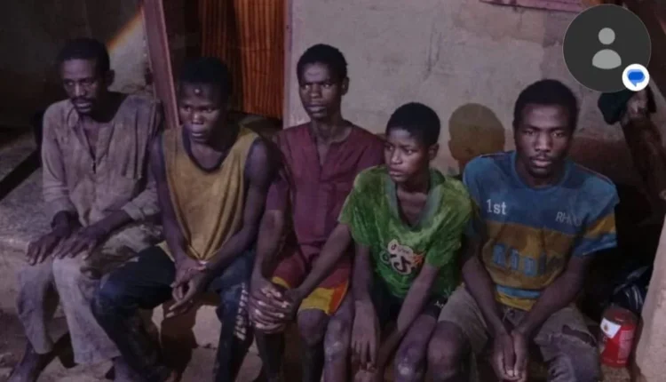 Troops rescue 13 kidnap victims, foil attacks in Zamfara, Edo