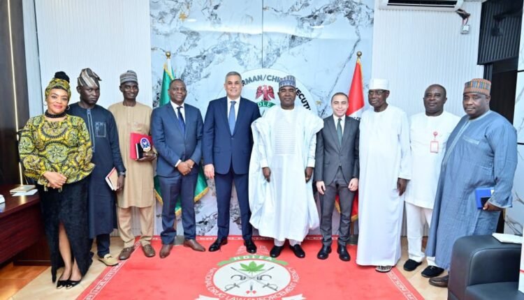 Egyptian envoy meets Marwa, seeks collaboration with Nigeria on drug war