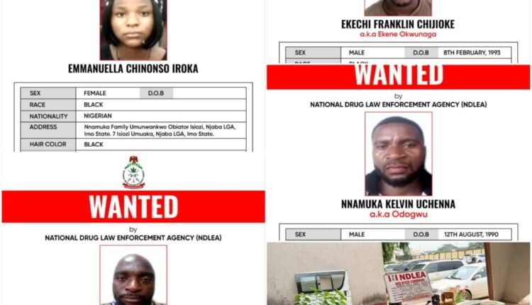 NDLEA declares drug kingpin, 3 associates wanted, blocks N9.8billion in accounts