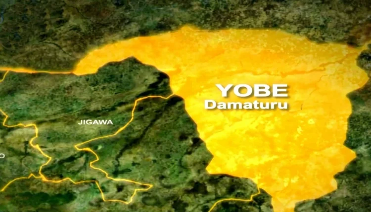 Yobe woos 50 foreign, local investors – YAPPPIP