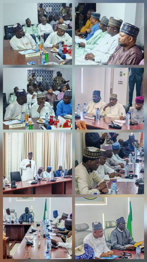 Lake Chad Region: We Are Committed To Sustainable Security, Economic Growth in the Region- Gov. Buni