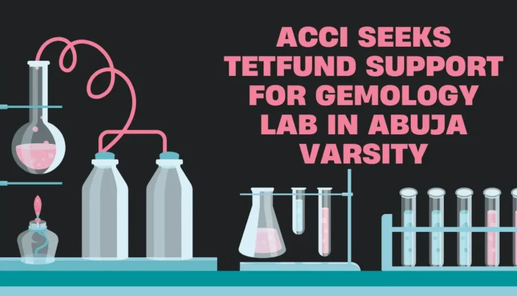 ACCI seeks TETFund backing for gemology centre