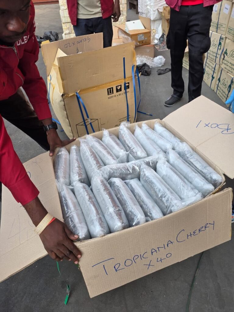 101-year-old great grandma arrested as NDLEA intercepts cocaine in fufu
