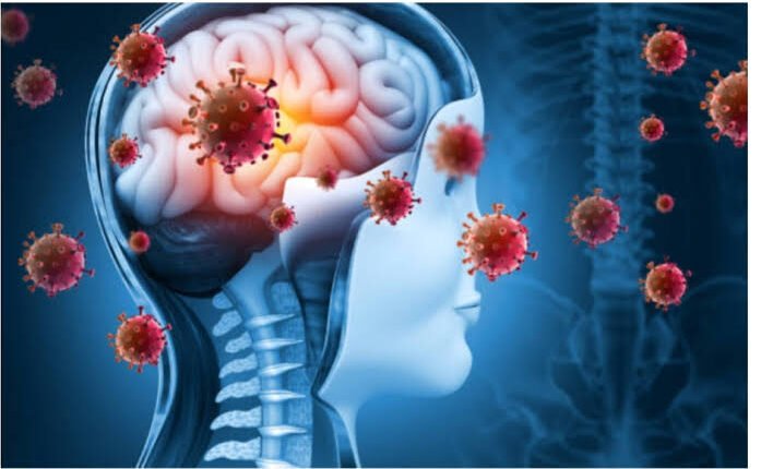 TETFund : Nigerian Researchers at Usumanu Danfodiyo University Discover Plant-Based Compound With Potential to Fight Brain Cancer