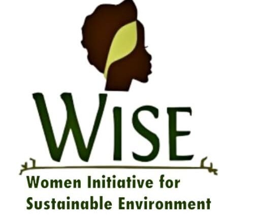 WISE seeks stronger leadership through intergenerational mentorship