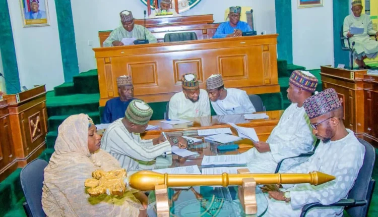 Yobe assembly seeks FG, donors’ relief for Damaturu flood victims