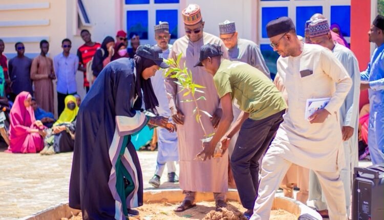 Yobe varsity to make tree planting requirement before graduation