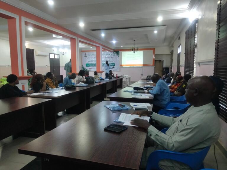NHRC urges MDAs to own human rights action programme