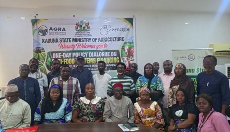 Non-state actors seek stronger agricultural budget, accountability in Kaduna