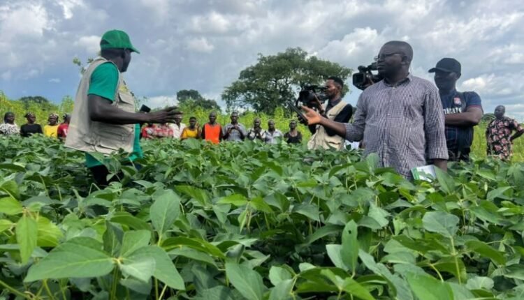 Sasakawa Foundation supports Benue farmers with N13m power tiller to boost productivity