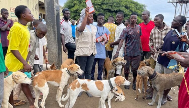 Veterinary organisation urges renewed commitment to preventing avoidable rabies death
