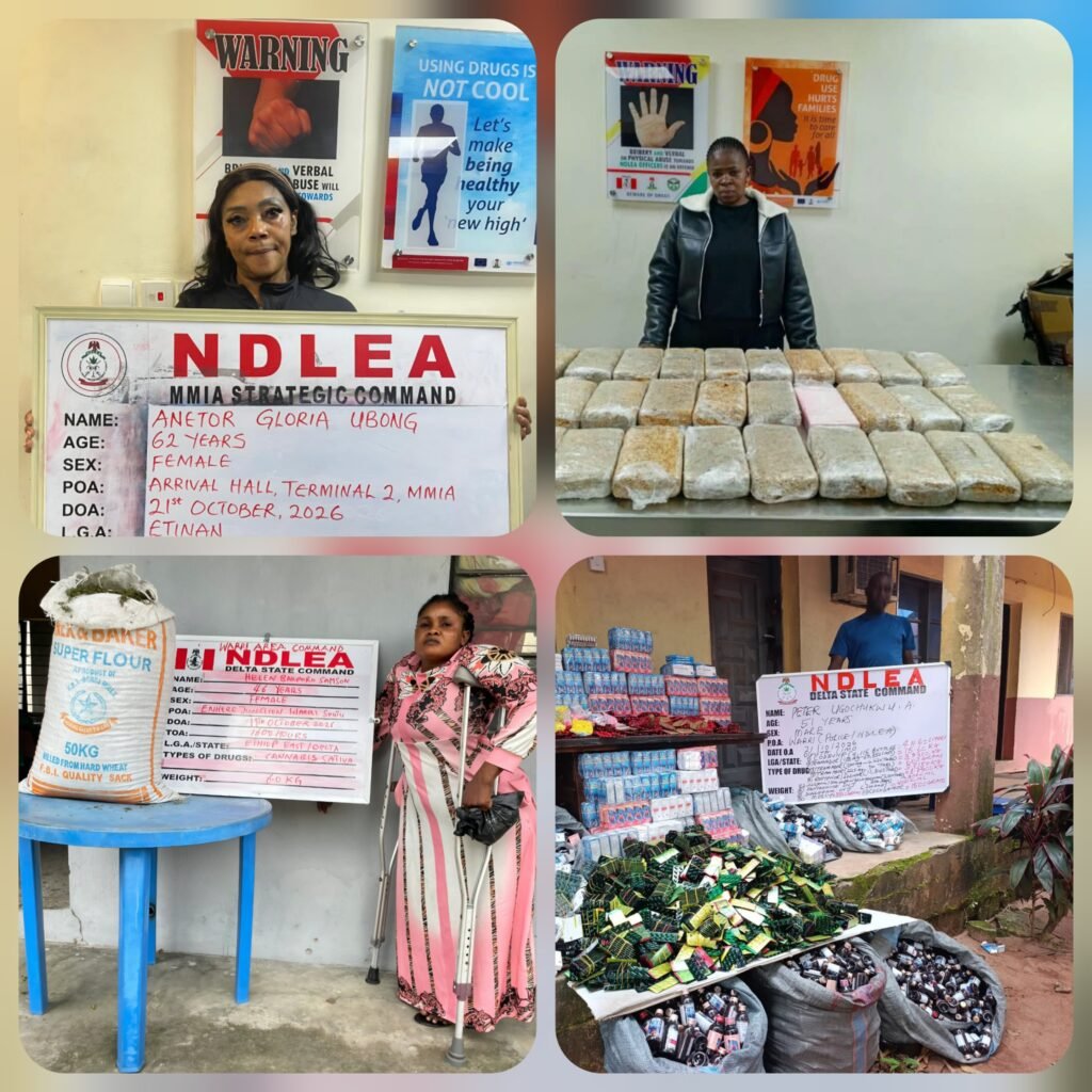 NDLEA Nabs South African Woman, US-Based Grandma, and Dismantles Nationwide Drug Syndicates in Multi-State Raids