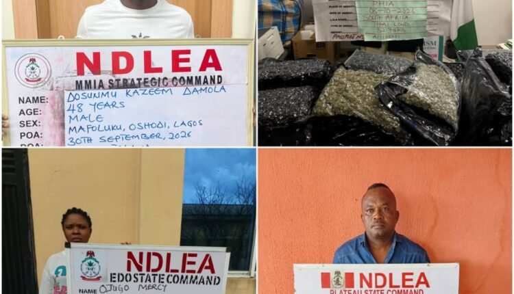 83-year-old convicted grandma, South African lady arrested with Colos, Meth shipments