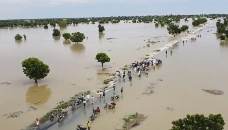 Floods, windstorms affect 38,820 people, displace 1,181 in Yobe — Director