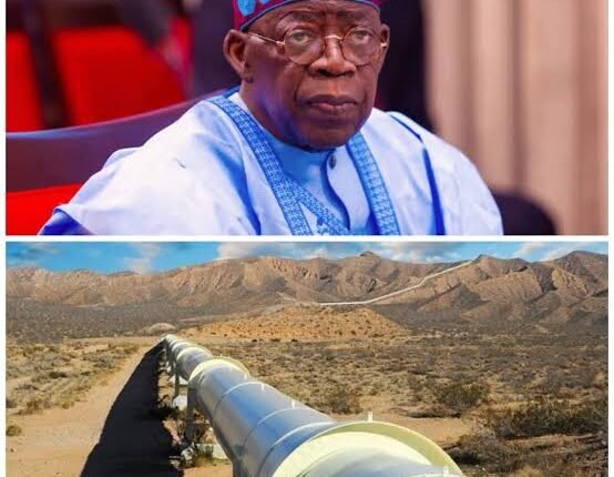 Gas pipeline project will unlock economic opportunities in S/East – Tinubu