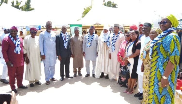 Nigeria must look beyond exporting unprocessed minerals – NSEG