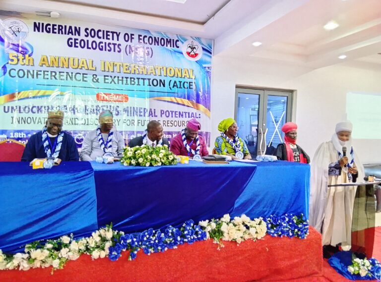 Nigeria must look beyond exporting unprocessed minerals – NSEG